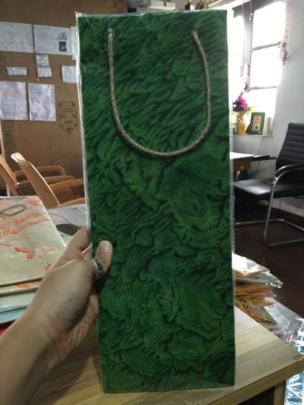 Green Wine Bag