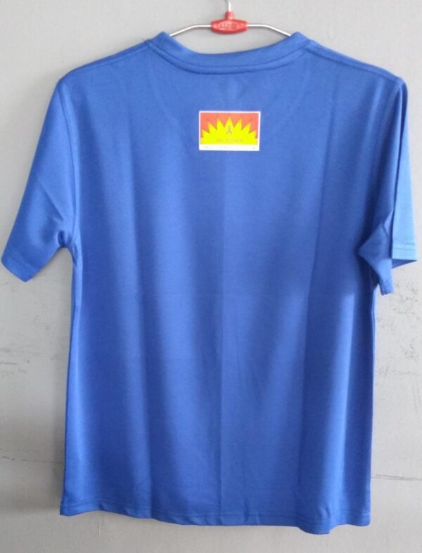 Autism Awareness T Shirt